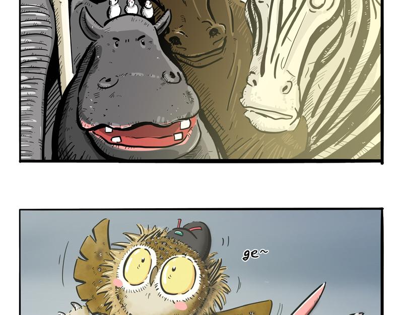 猫头鹰乐队成立-第19话