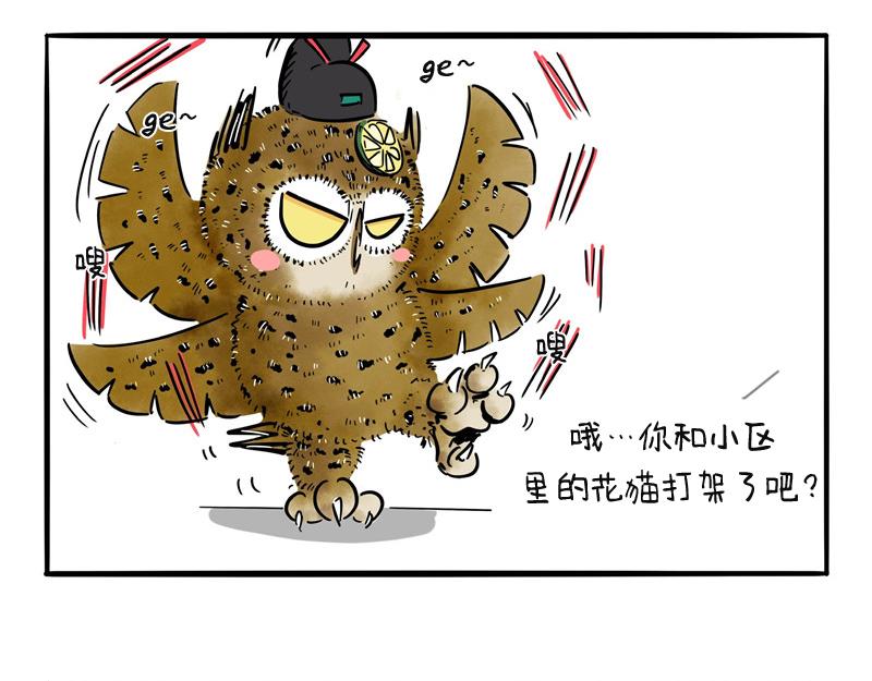 第23话 报仇雪恨-第23话