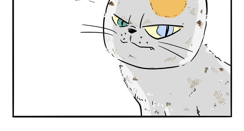 第23话 报仇雪恨-第23话