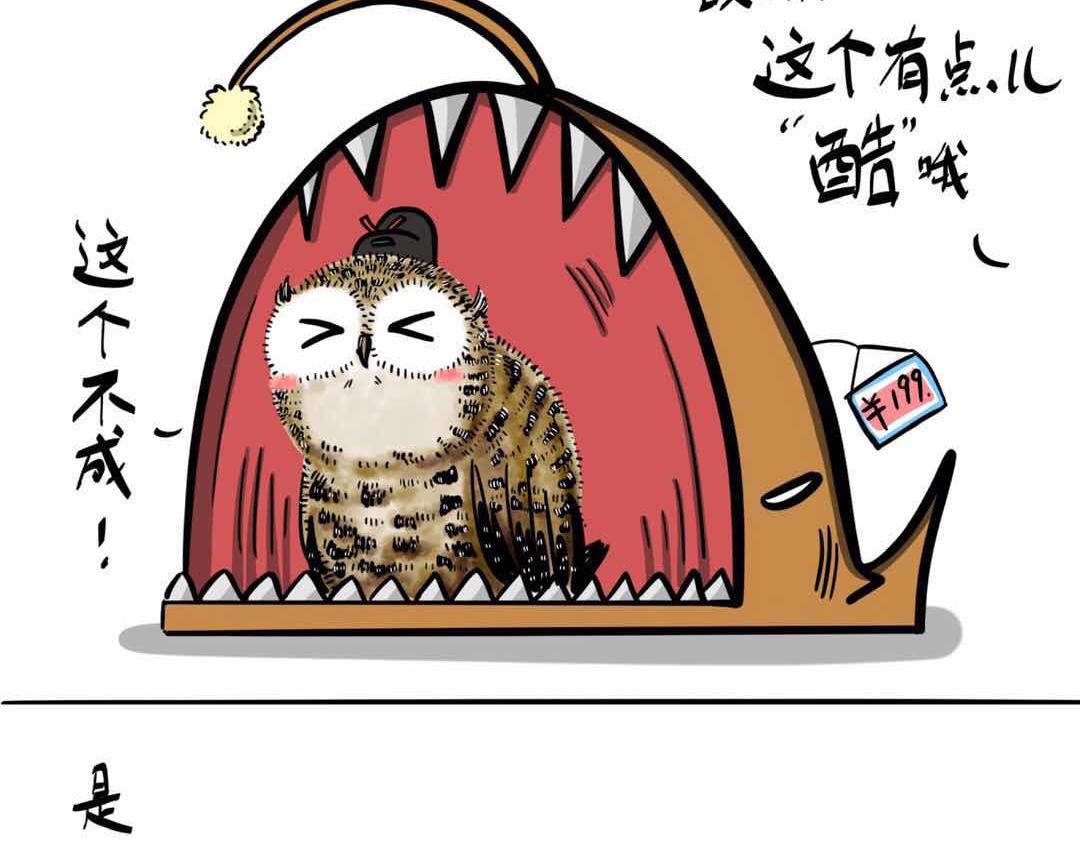 给小夜猫子做个窝-第3话