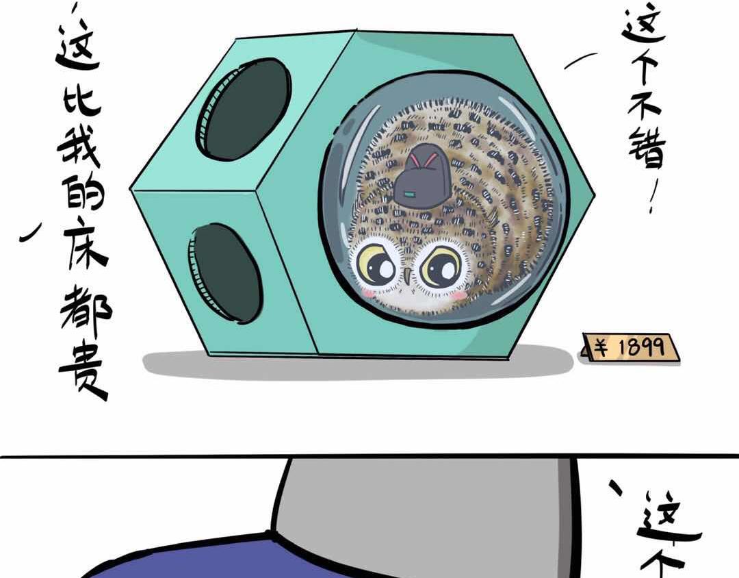 给小夜猫子做个窝-第3话