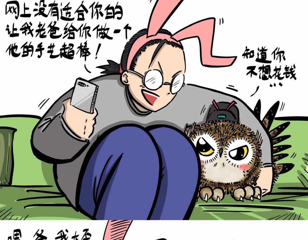 给小夜猫子做个窝-第3话