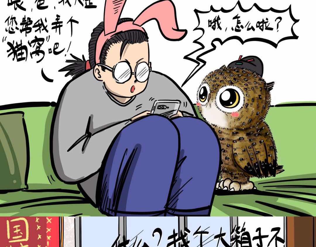 给小夜猫子做个窝-第3话