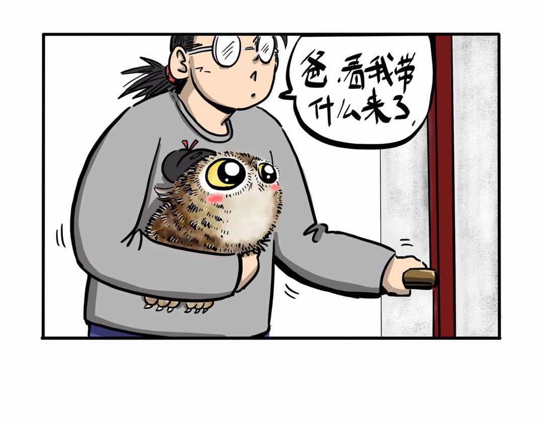 给小夜猫子做个窝-第3话