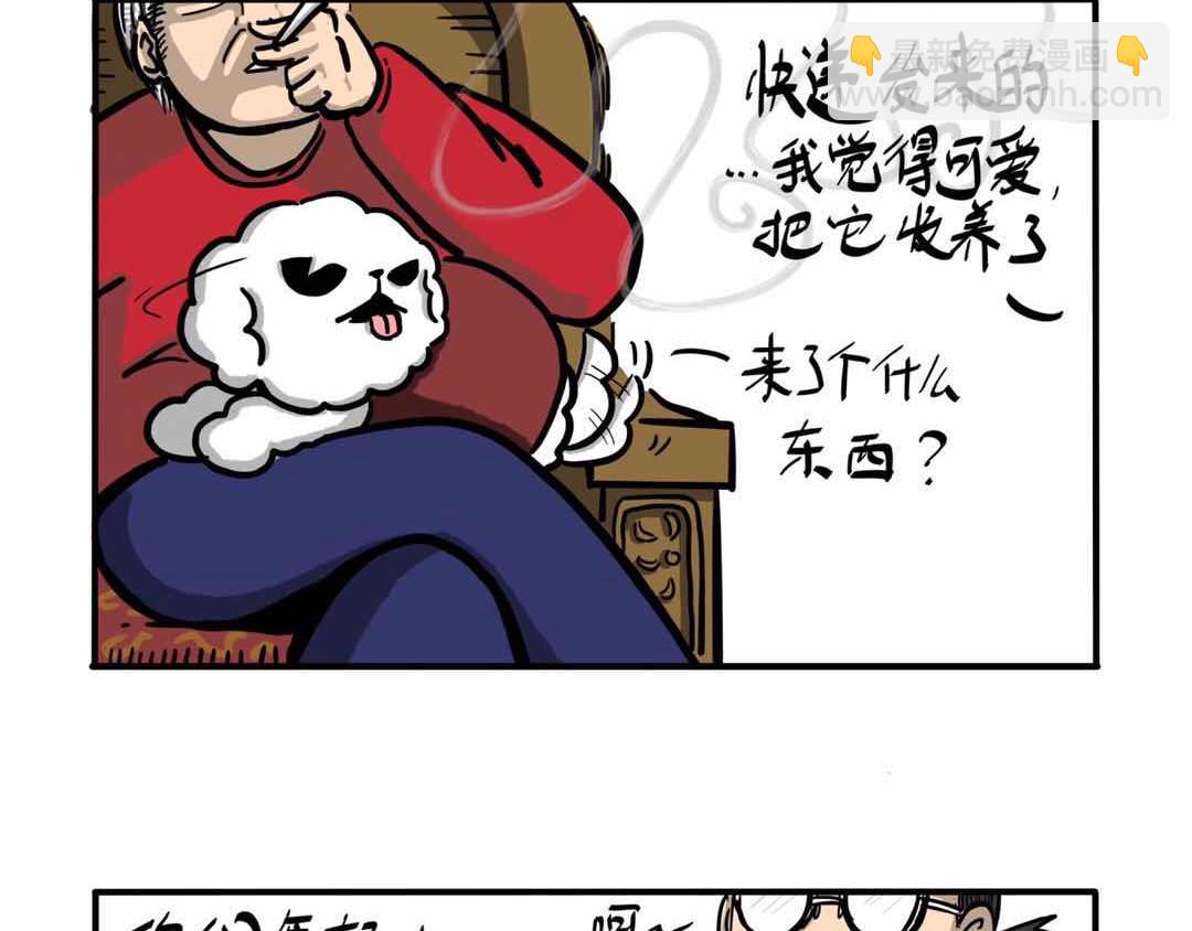 给小夜猫子做个窝-第3话