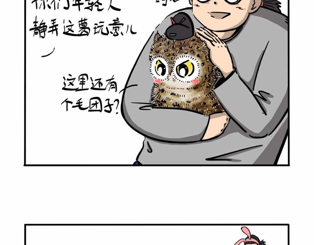 给小夜猫子做个窝-第3话