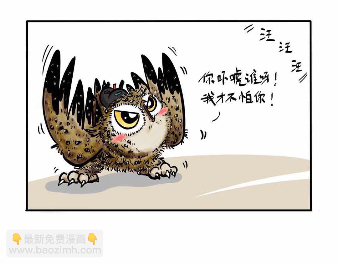 给小夜猫子做个窝-第3话