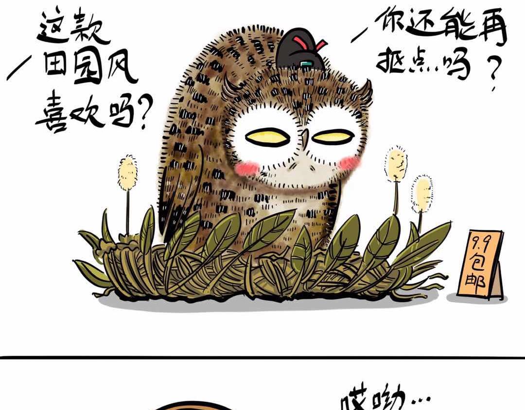 给小夜猫子做个窝8