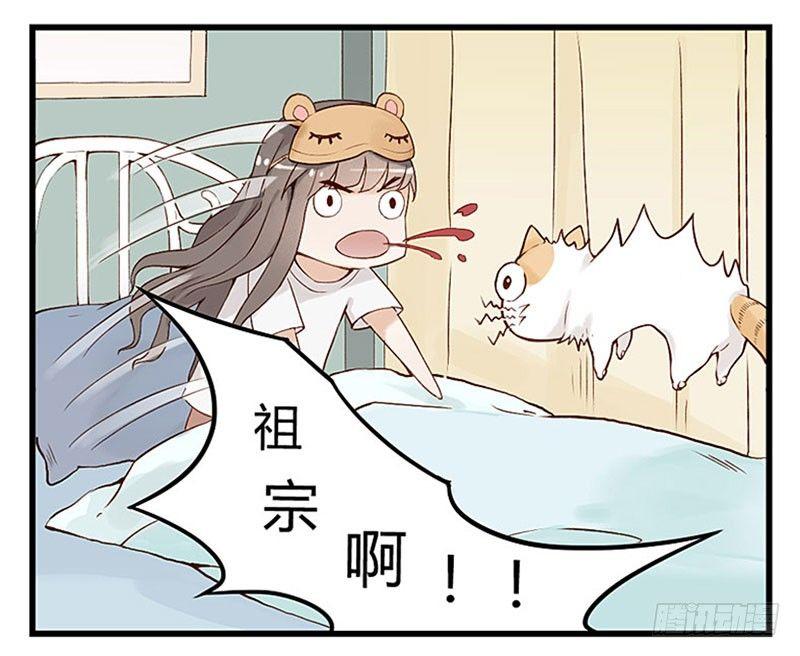 第十一话 周末与猫-第11话