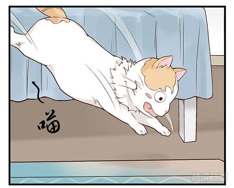 第十一话 周末与猫-第11话