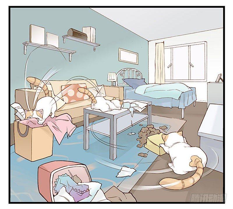 第十一话 周末与猫-第11话