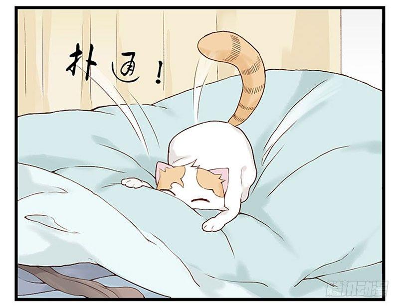第十一话 周末与猫-第11话