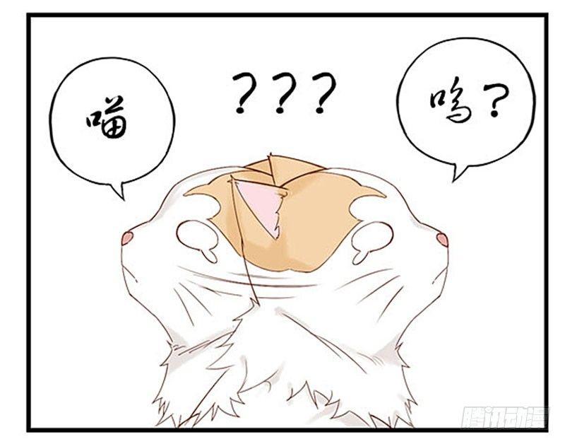 第十五话 尼卡的改变-第15话