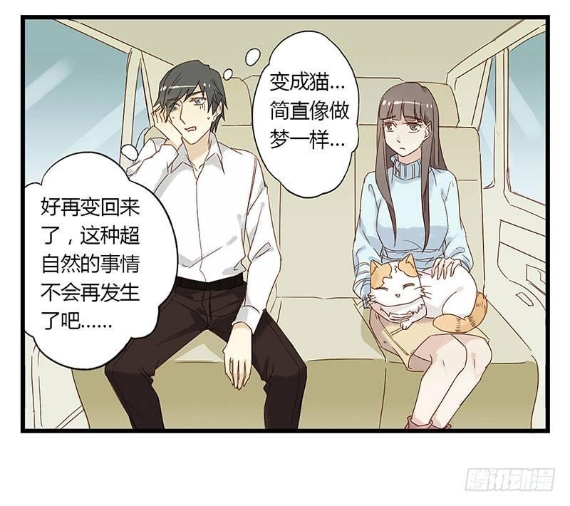 第十九话 变来变去-第19话