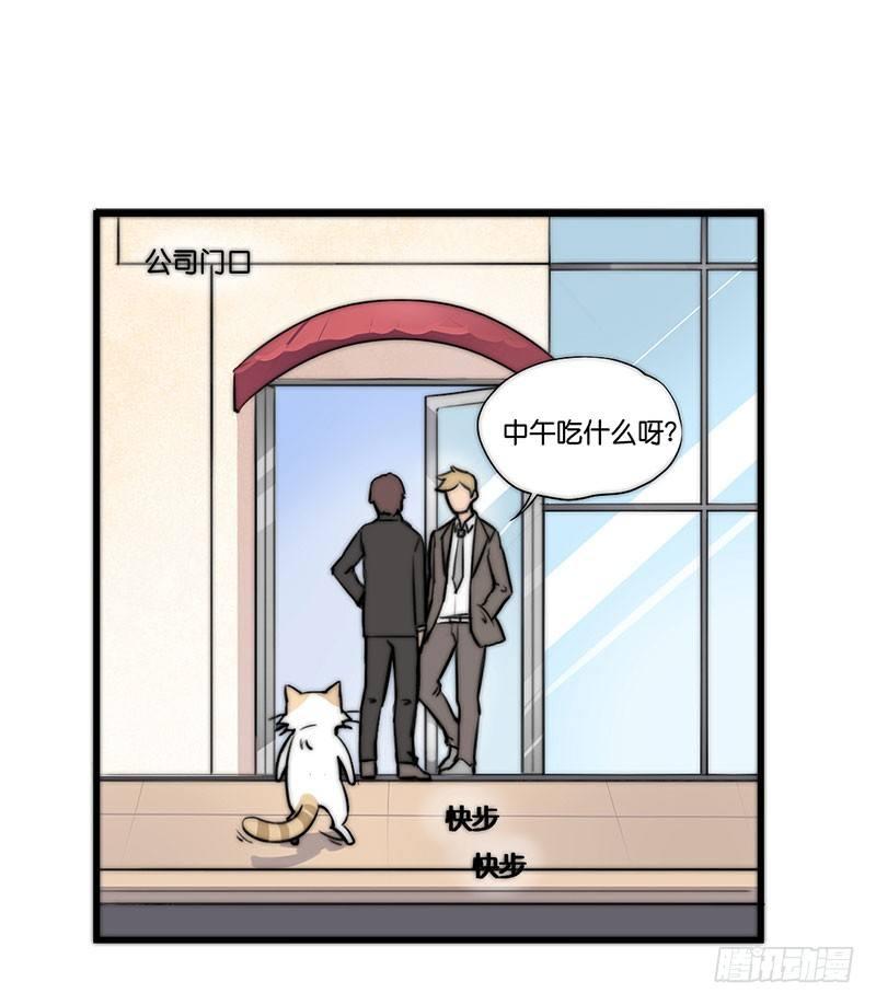 第二十三话 网红猫尼卡-第23话