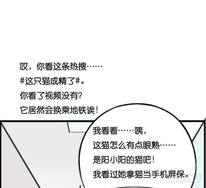 第二十三话 网红猫尼卡-第23话