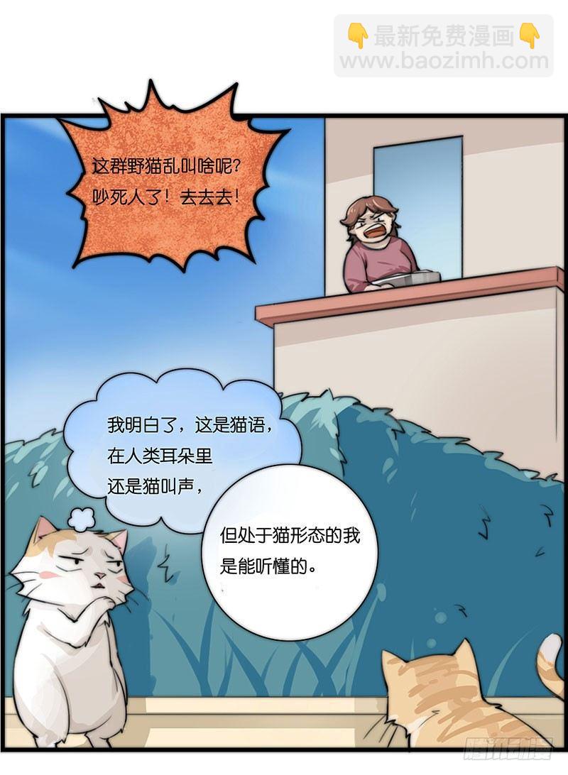 第二十三话 网红猫尼卡-第23话