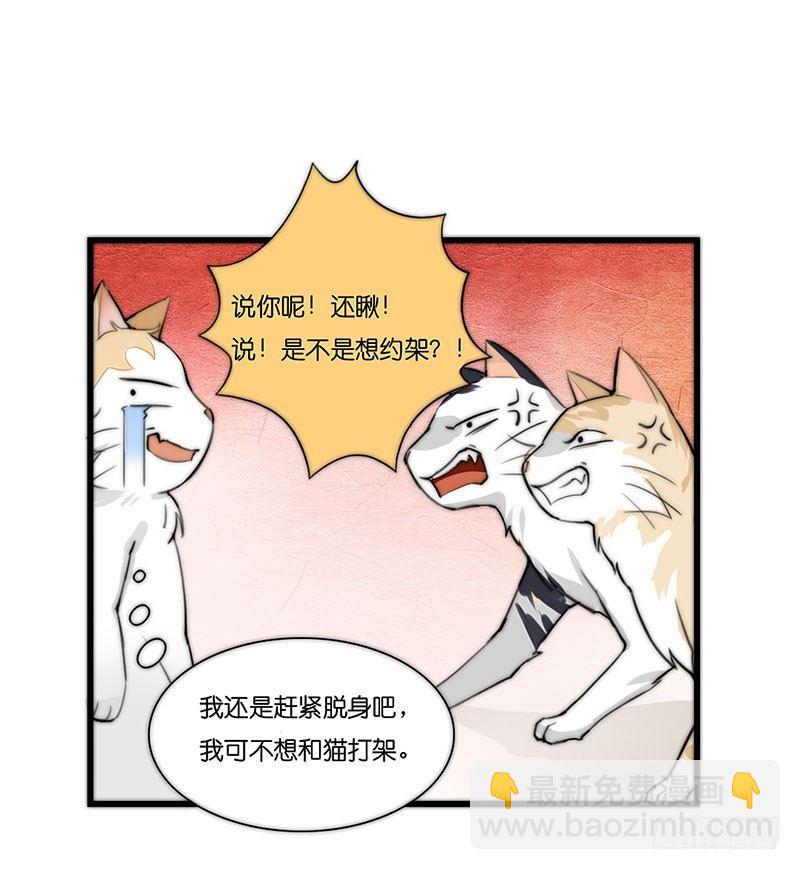 第二十三话 网红猫尼卡-第23话