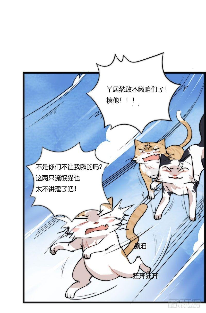 第二十三话 网红猫尼卡-第23话