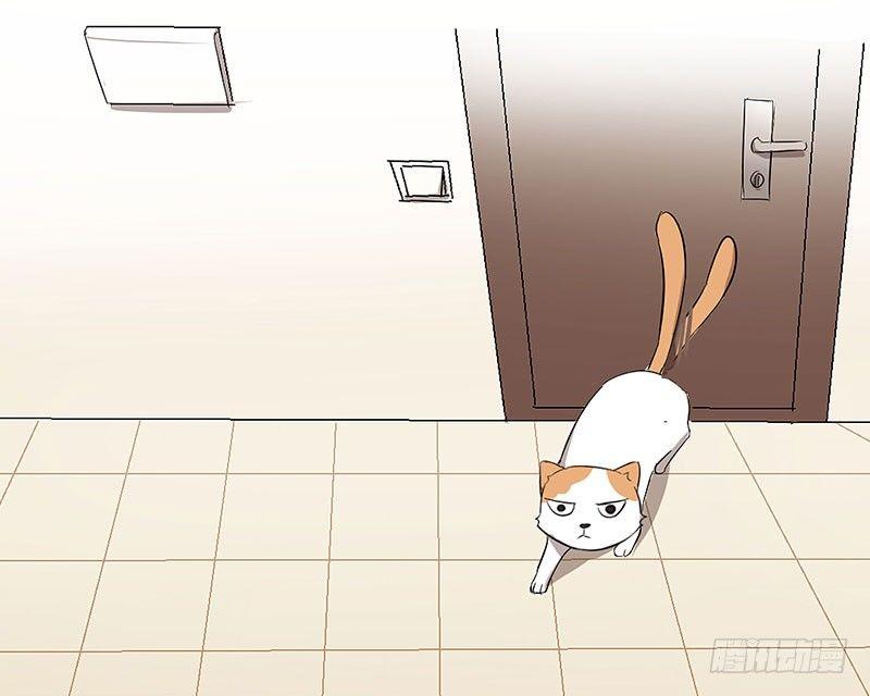 第三十一话  没有人是你的朋友-第31话