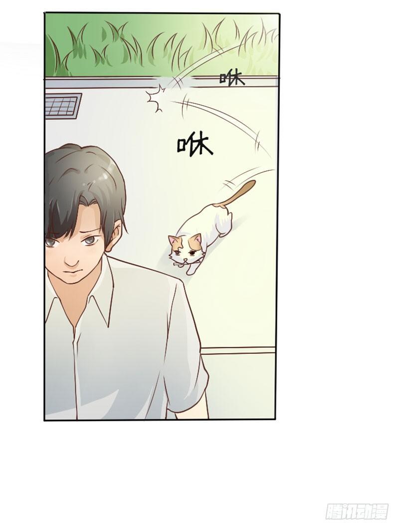 第三十五话 背叛者-第35话