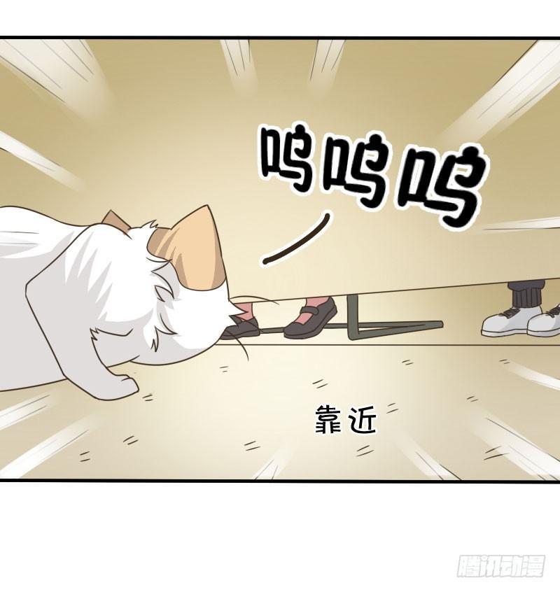 第四十一话 你变了！-第41话