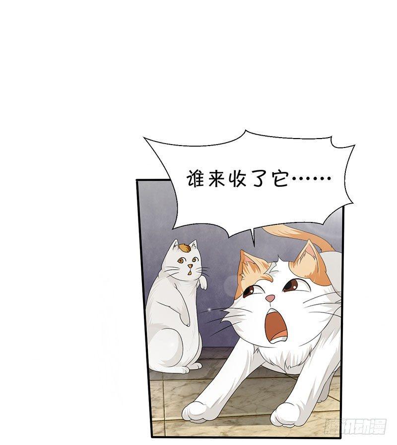 第四十三话 杜仲喵的打工生涯-第43话