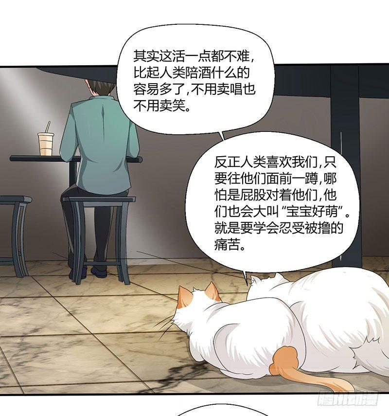 第四十三话 杜仲喵的打工生涯-第43话