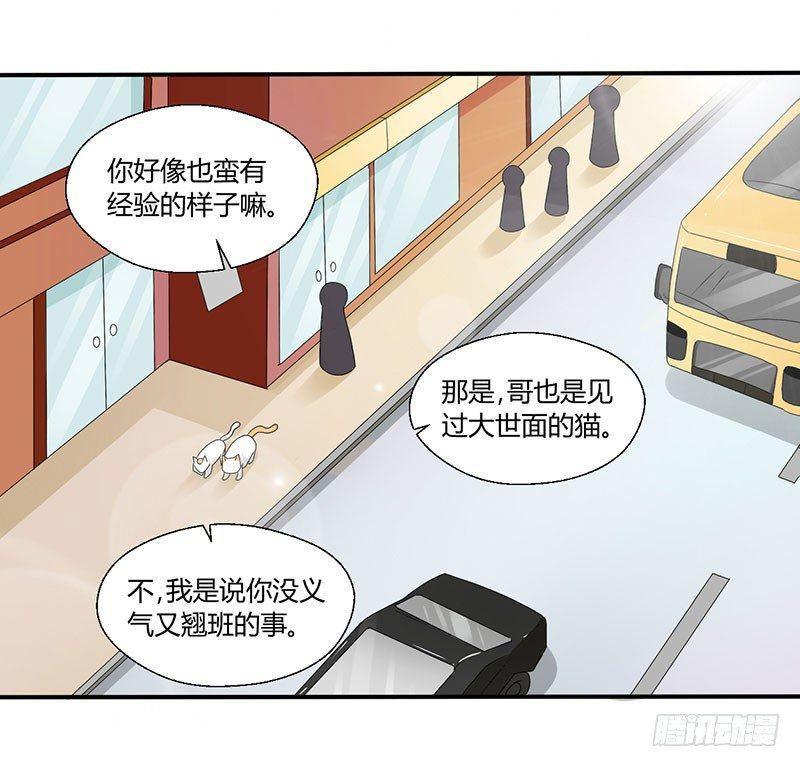 第四十三话 杜仲喵的打工生涯-第43话