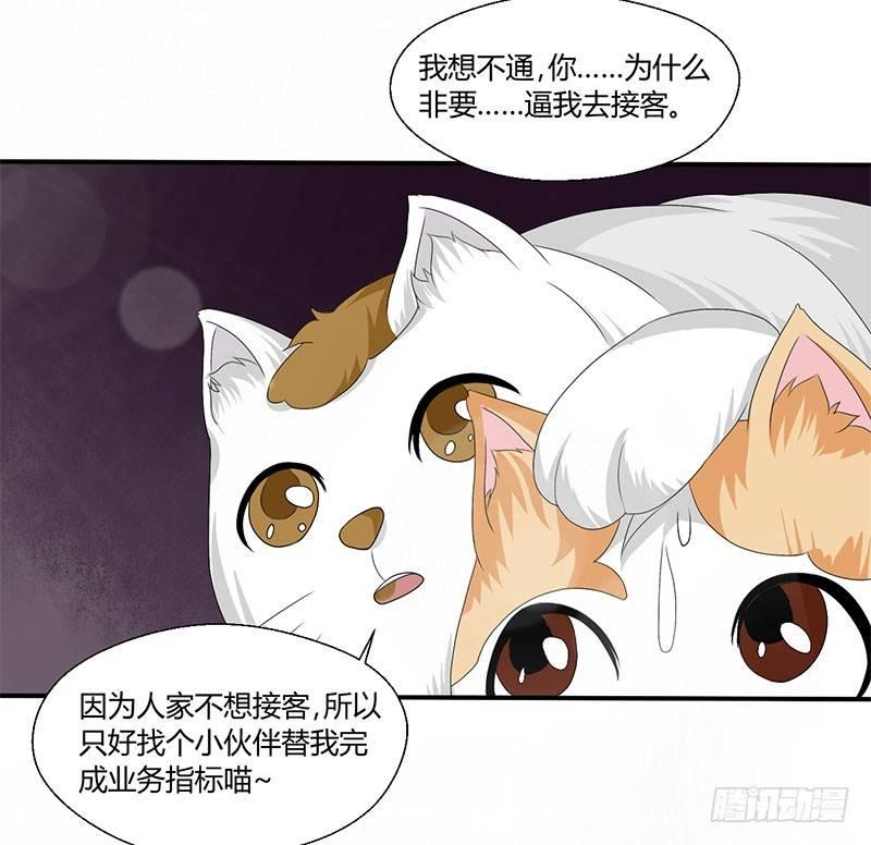 第四十三话 杜仲喵的打工生涯-第43话