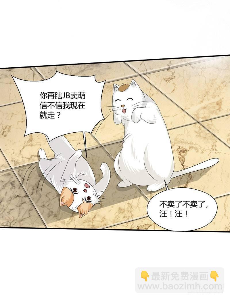 第四十三话 杜仲喵的打工生涯-第43话