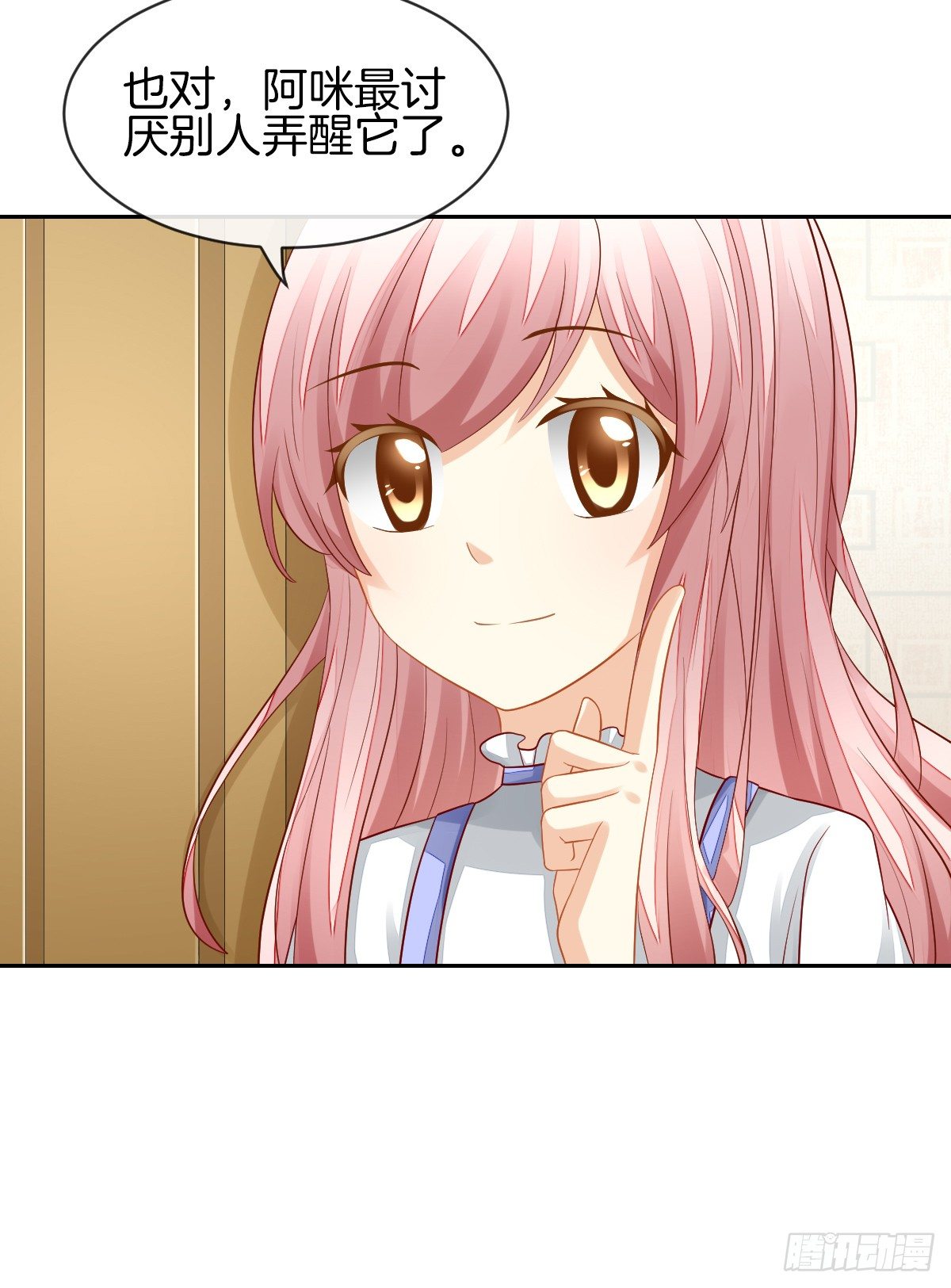 空空如也的猫咪公墓(1/2)-第29话