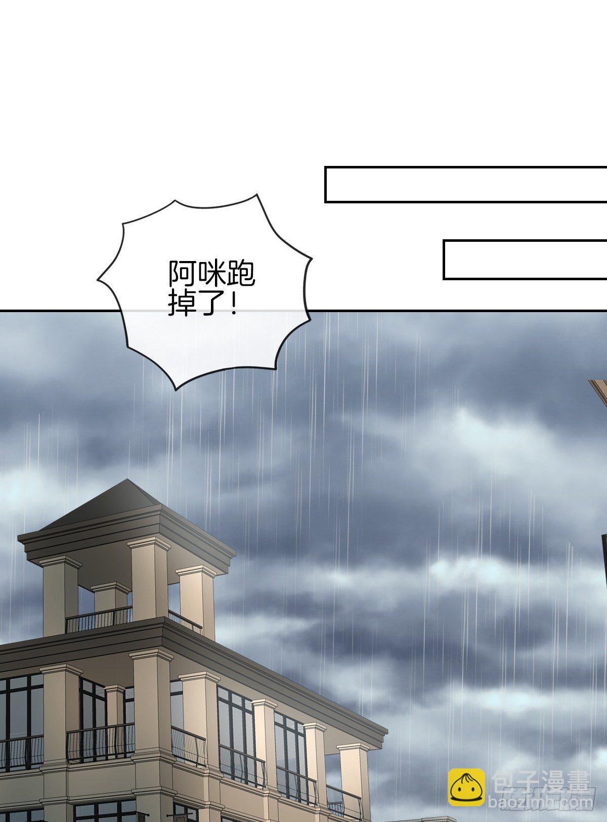 空空如也的猫咪公墓(1/2)-第29话