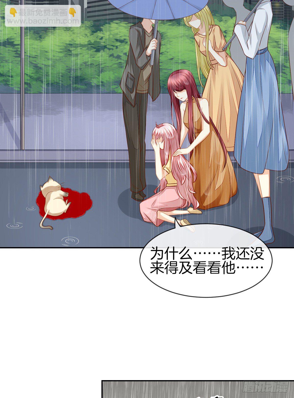 空空如也的猫咪公墓(1/2)-第29话