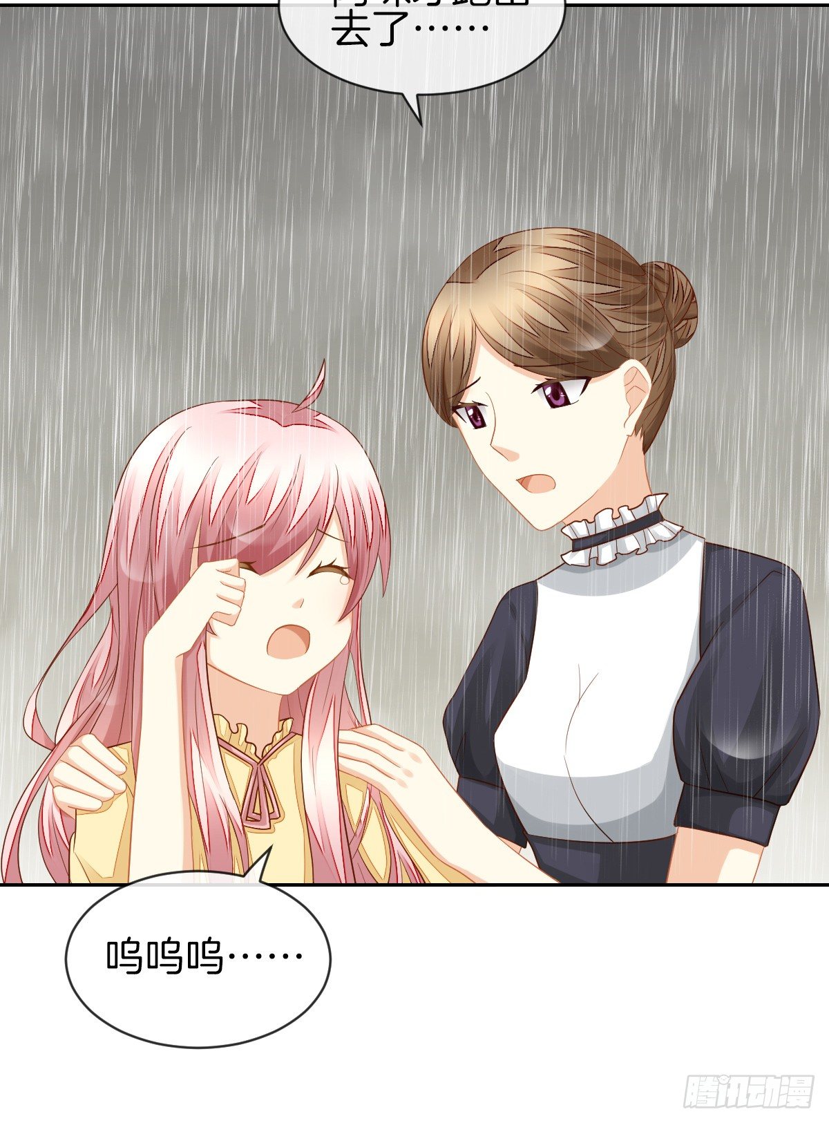 空空如也的猫咪公墓(1/2)-第29话