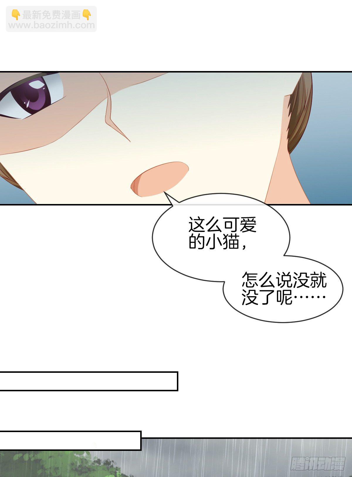 空空如也的猫咪公墓(1/2)-第29话