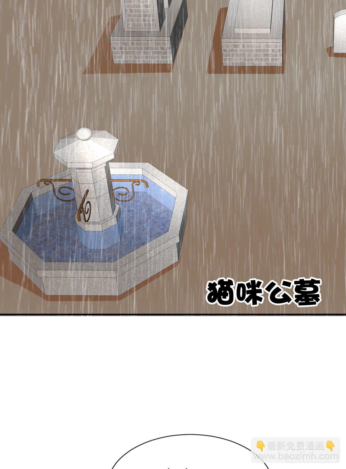 空空如也的猫咪公墓(1/2)-第29话