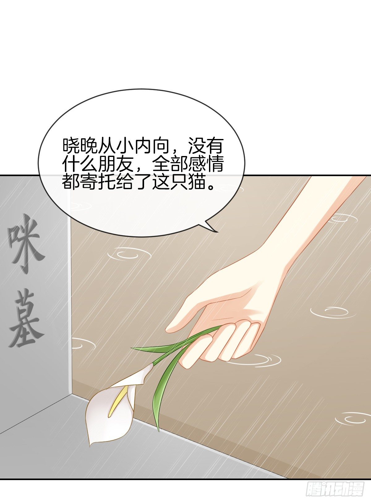 空空如也的猫咪公墓(1/2)-第29话