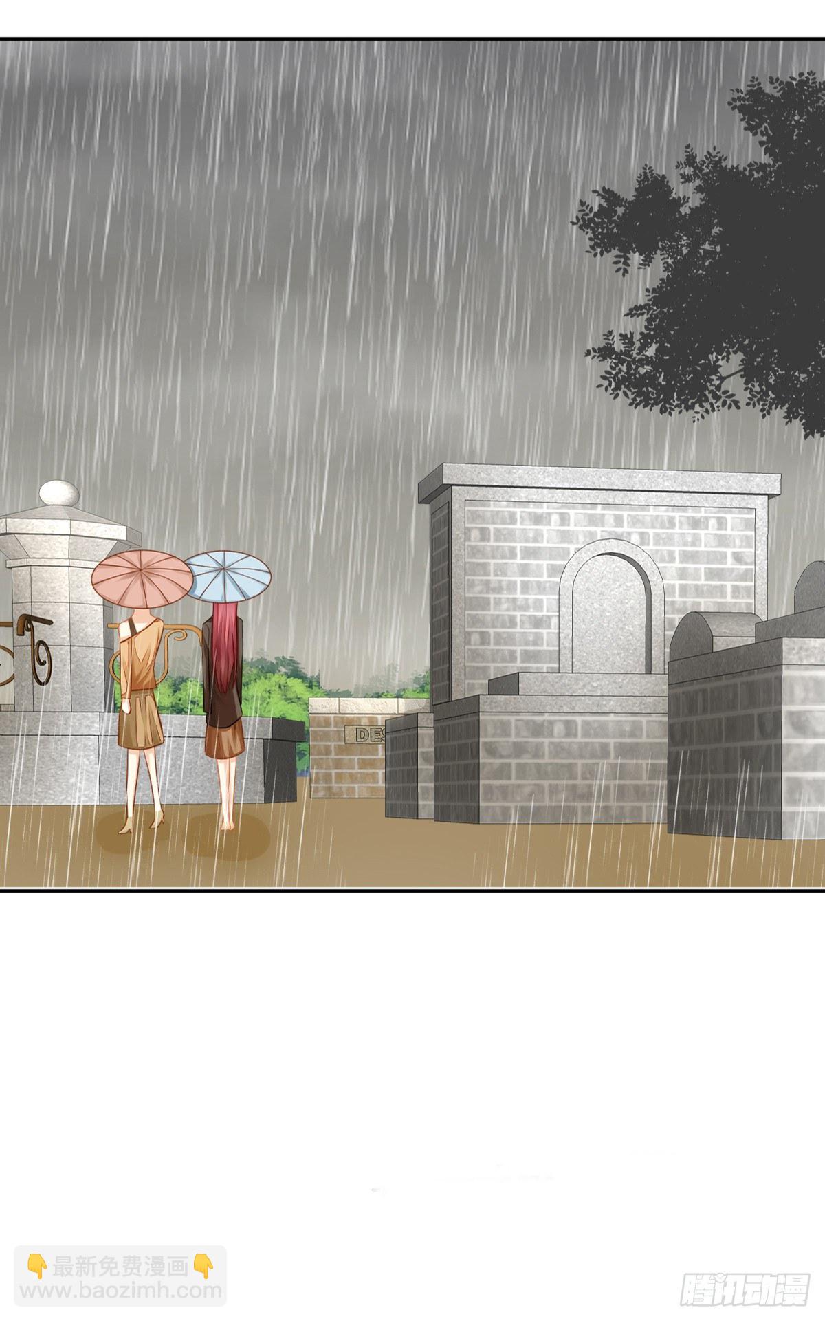 空空如也的猫咪公墓(1/2)-第29话