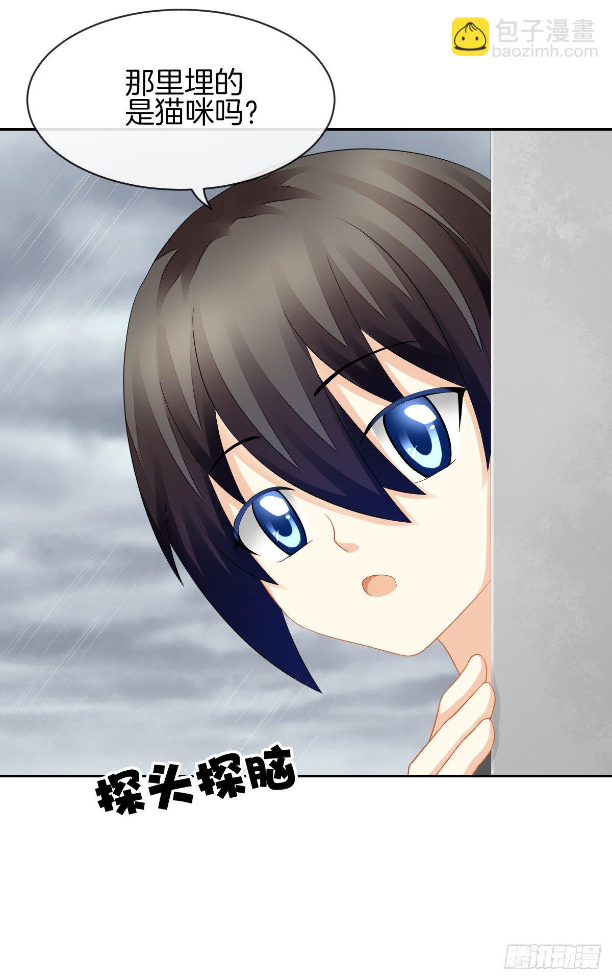 空空如也的猫咪公墓(1/2)-第29话