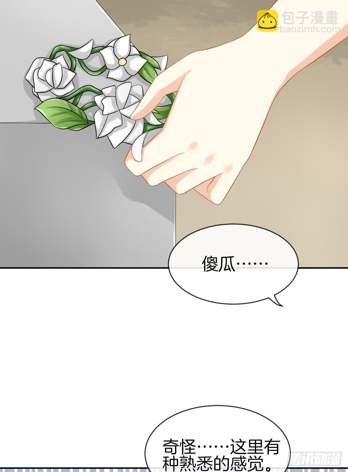 空空如也的猫咪公墓(1/2)-第29话