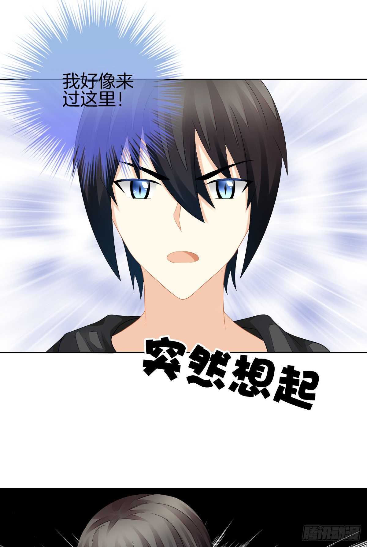 空空如也的猫咪公墓(1/2)-第29话