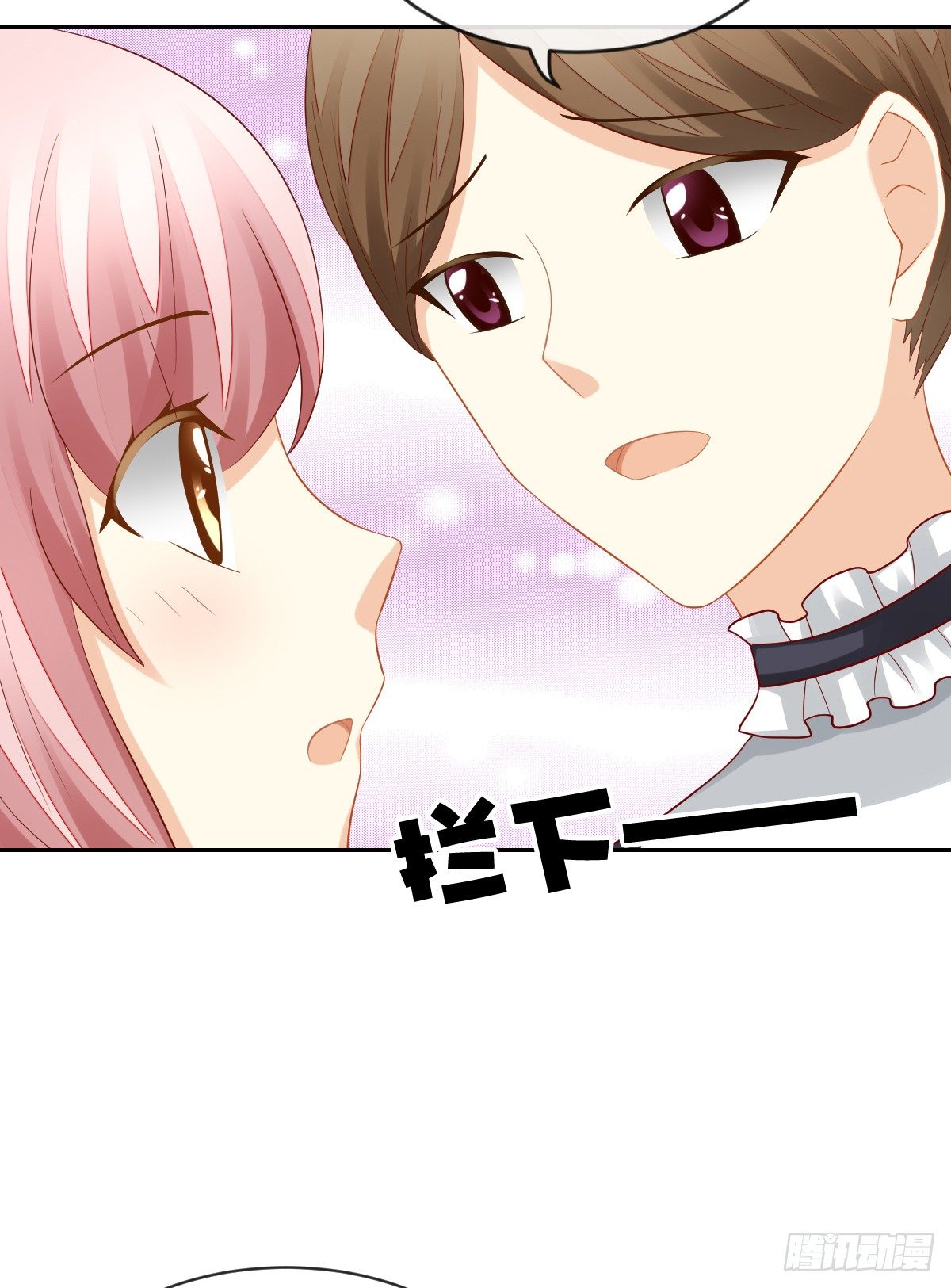 空空如也的猫咪公墓(1/2)-第29话