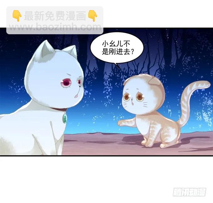 猫妖的诱惑 - 乔装潜入(1/2) - 3