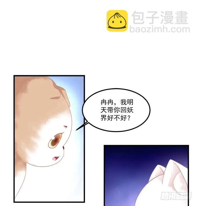 猫妖的诱惑 - 流落街头 - 4