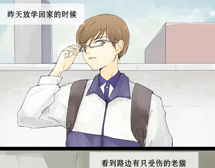 第1话 猫的报恩-第1话