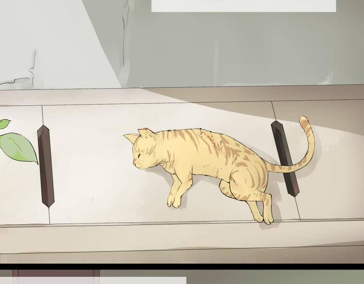 第1话 猫的报恩-第1话