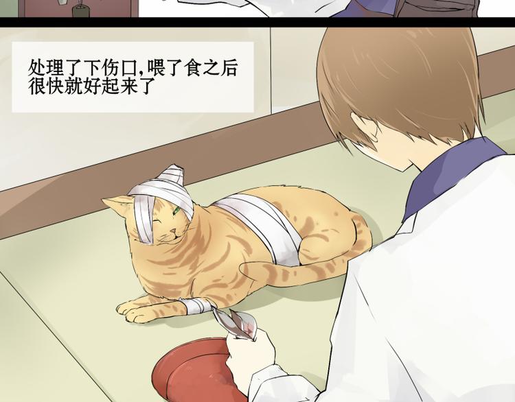 第1话 猫的报恩-第1话