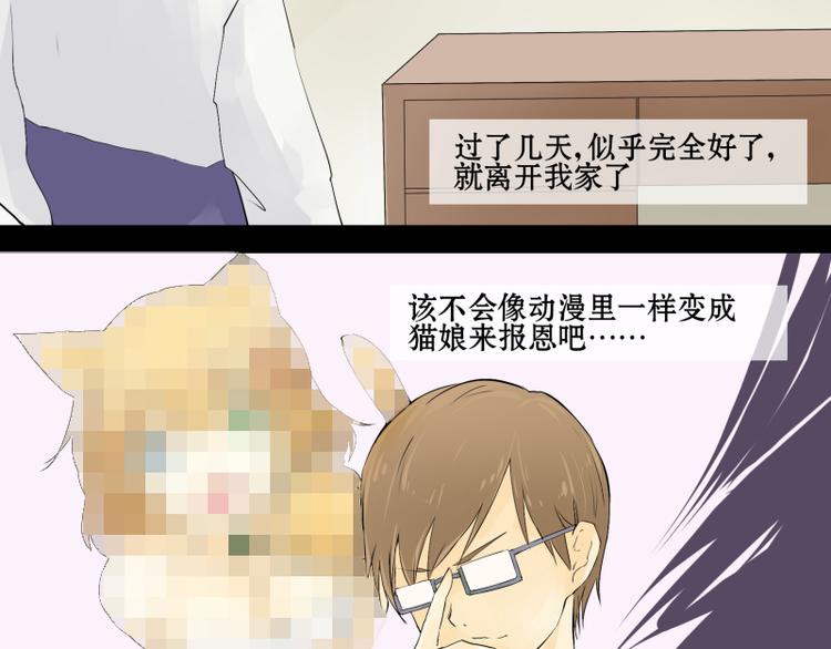 第1话 猫的报恩-第1话