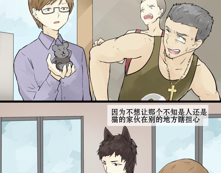 完结篇：猫，我不想失去你！-第15话